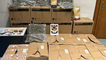 polizei entdeckt in zwei wohnungen hunderte kilo cannabis