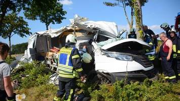 Transporter prallt gegen Baum – Fahrer wird schwer verletzt