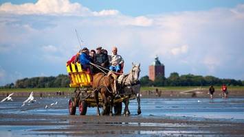 Neuwerk: Warum eine Insel jetzt Abenteurer sucht