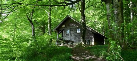 Ludwig Ganghofer entdeckte das Waldbaden schon vor über hundert Jahren