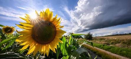 Sommerwetter hält nicht lange