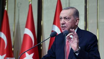türkei - erdogan-regierung will straßenhunde einschläfern lassen