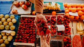 Preise laufen aus dem Ruder - Zehn Euro für ein Kilo Erdbeeren – warum ist Obst jetzt so teuer?