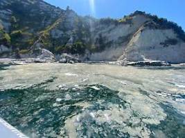 Glitschig-gelber Schaum am Ufer: Algenschleim durchzieht die Adria