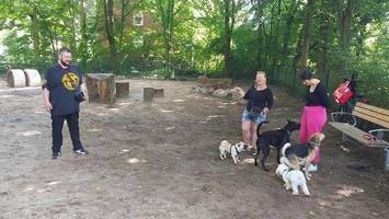 neue hunde-fläche am appelhoffweiher – anwohner schon genervt
