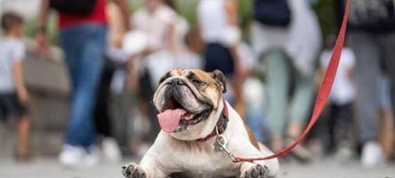 hochsommer in hessen - neue woche bringt bis zu 33 grad