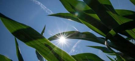 sonniger wochenstart - bis zu 33 grad in hessen
