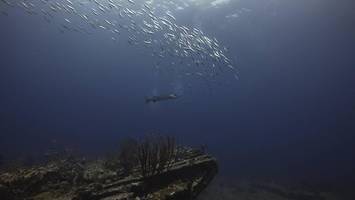 schiffswrack „rms rhone“: fund im trümmerfeld am meeresboden