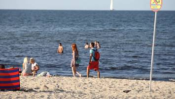 bakterien breiten sich an nord- und ostsee aus - diese gefahr droht ihnen von vibrionen im wasser