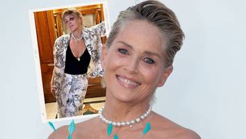 „niemand hat mir etwas angetan“ - nach schockierendem foto gibt sharon stone entwarnung