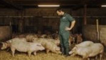 Nachhaltige Schweinehaltung: Der Wurst-Visionär