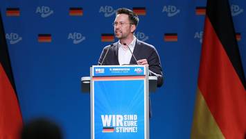 vorfall hat ein nachspiel - afd-politiker spricht vor neunjährigen schülern von gruppenvergewaltigungen
