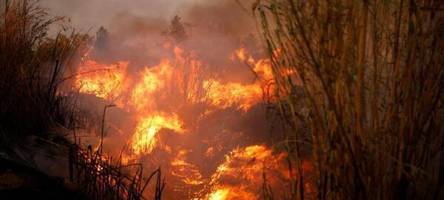 Fortschritte im Kampf gegen Feuersbrunst in Griechenland
