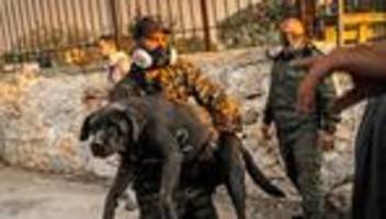 waldbrände in griechenland: asche, rauch und furcht vor weiteren feuern