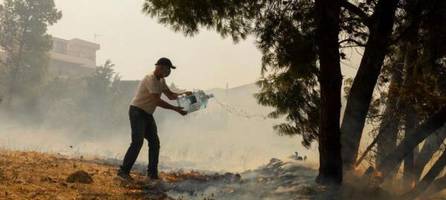 frau stirbt bei waldbrand in griechenland