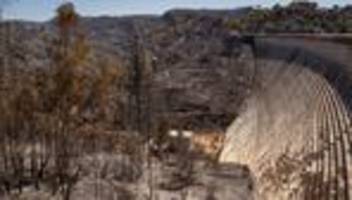 waldbrände in griechenland: mit gartenschläuchen gegen die feuerfront