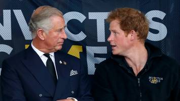 emotional instabil - könig charles iii.: seit jahren angst vor „unberechenbaren“ prinz harry