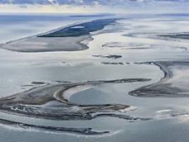 bedrohung für unsere umwelt: grünen-chefin stemmt sich gegen bohrprojekt vor borkum