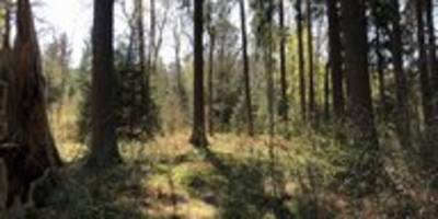 sommerserie „im schatten“ (5): auf die dosis kommt es an