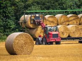 ernüchternde bilanz: landwirte beklagen deutlich schlechtere ernte