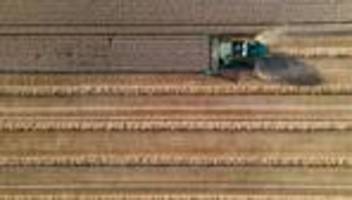 landwirtschaft: regen vermiest bauern im südwesten die ernte