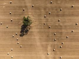 landwirtschaft: politik und bauern streiten über pflanzenschutz