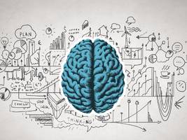 hirnforschung: wie viel speicherplatz hat das gehirn?