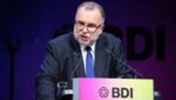 bundesverband der deutschen industrie: bdi-präsident kritisiert Äußerungen höckes zu familienunternehmen