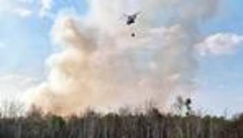 Brandenburg: Waldbrand bei Jüterbog breitet sich weiter aus