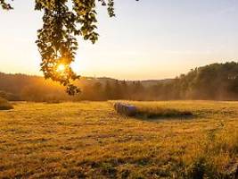 Die Wetterwoche im Schnellcheck: Hitze und Gewitter schicken uns in den Herbst