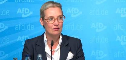 »die afd will, dass sich die cdu selbst zerreißt«: videoanalyse nach den wahlen in sachsen und thüringen