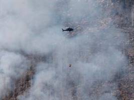 1000 Meter lange Feuerwand: Waldbrand am Brocken - Einsatz könnte noch Tage dauern