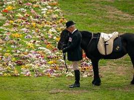 Von Lieblingspferd verabschiedet: Stallmeister verrät den letzten Ausritt mit Elizabeth II