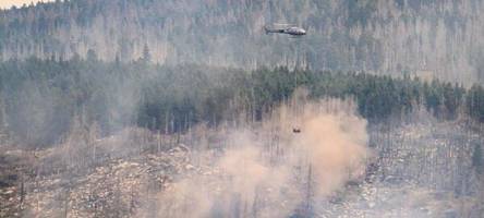 Feuerwehren kämpfen gegen Feuer am Brocken: Brandstiftung nicht ausgeschlossen