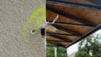 mutmaßlicher terroranschlag: ermittler vernehmen etwa 100 zeugen zu schüssen in münchen