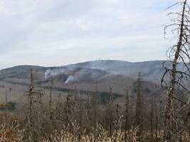 Waldbrand unter Kontrolle: Regen hilft Rettungskräften auf dem Brocken