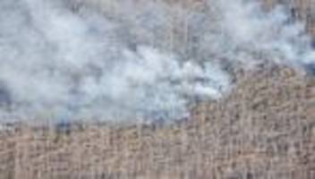 Waldbrand im Harz: Einsatzkräfte starten Ermittlungen zur Brandursache am Brocken