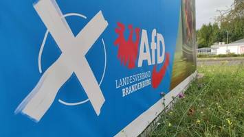 Welche Auswirkungen ein AfD-Erfolg in Brandenburg haben könnte