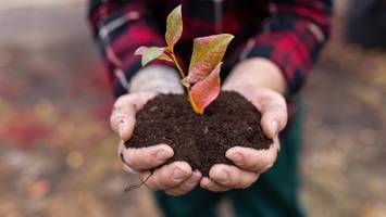 DLD Nature - Neue Studie zeigt den Milliardenschatz unter Deutschlands Füßen