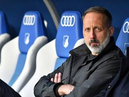 pellegrino matarazzo im interview: „das war ein schock für uns alle“