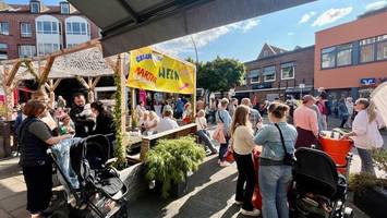 Tausende feiern mit beim Bergedorfer Schlossstraßenfest