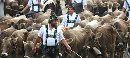 Neues Tierschutzgesetz: Bauern fürchten um bayerische Weidewirtschaft