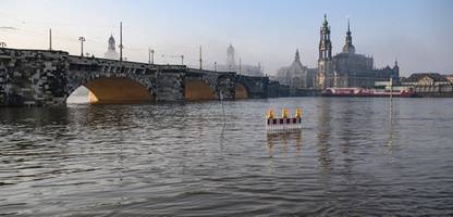 Dresden: Wasserstand der Elbe erreicht Sechs-Meter-Marke