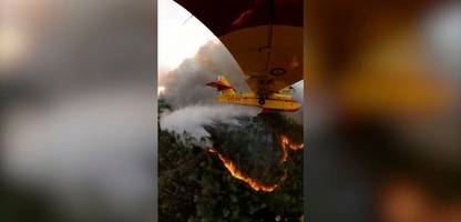 Waldbrände in Portugal: Löschflugzeuge aus Nachbarländern unterstützen Brandbekämpfung