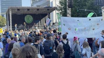 fridays for flop? weniger teilnehmer als erwartet