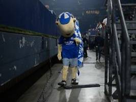 Panikknopf schon wieder gedrückt: Wer soll sich diesen FC Schalke 04 denn noch antun?