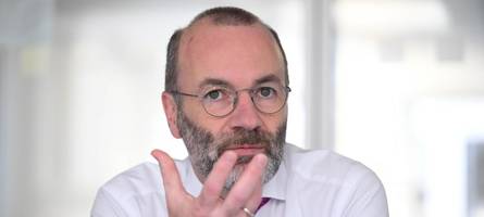 manfred weber im interview