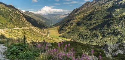 Schweizer entscheiden sich gegen mehr Naturschutz