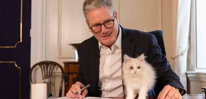 keir starmer präsentiert neues sibirisches kätzchen in der downing street