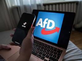 soziale medien wie katalysator: lehrer schlagen alarm wegen jungen afd-wählern